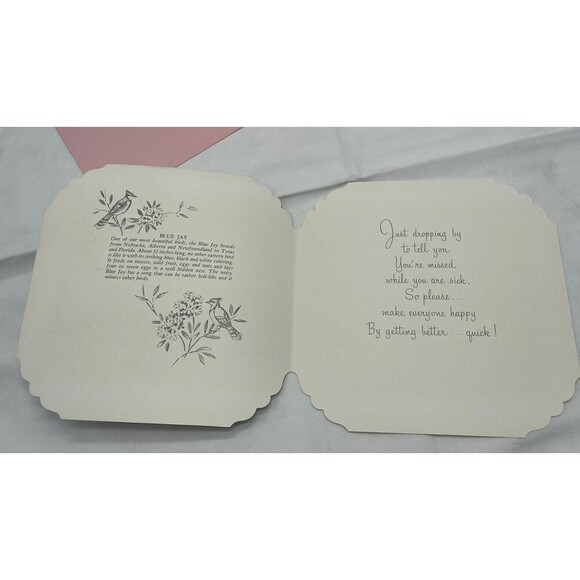 5 VINTAGE QUALITY CREST BEAUTIFUL BIRDS SCENES GREETING CARDS UNUSED ENVLEOPES - Picture 3 of 13